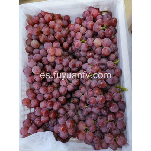 Venta caliente fresco dulce uvas rojas